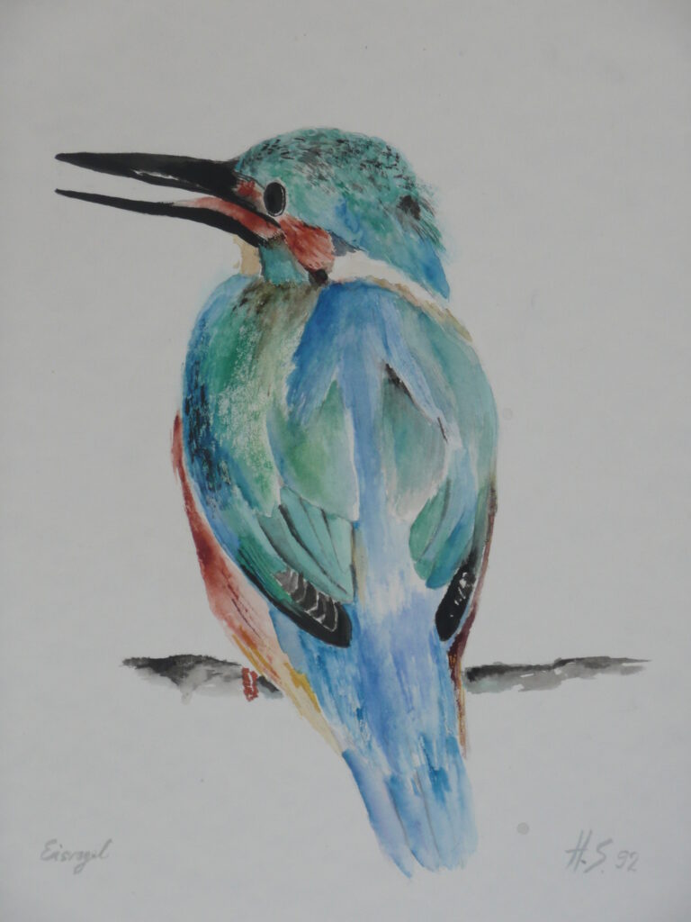 Eisvogel
