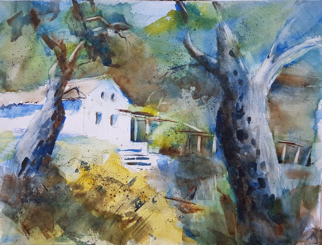 Korfu, Haus im Schatten von Olivenbäumen