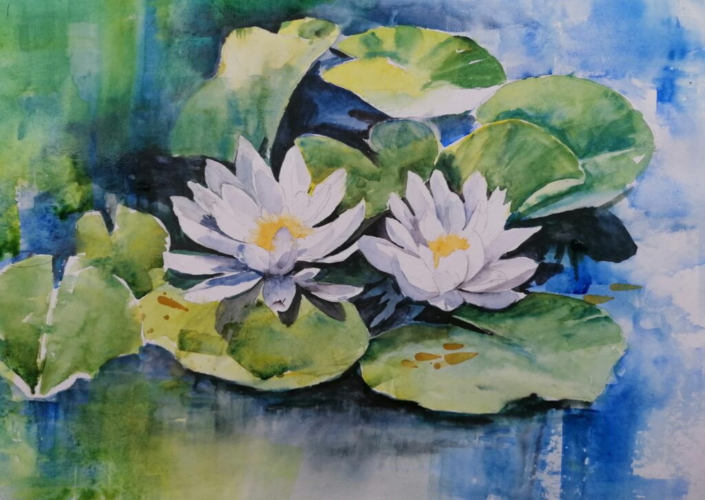 Seerosen in meinem Gartenteich