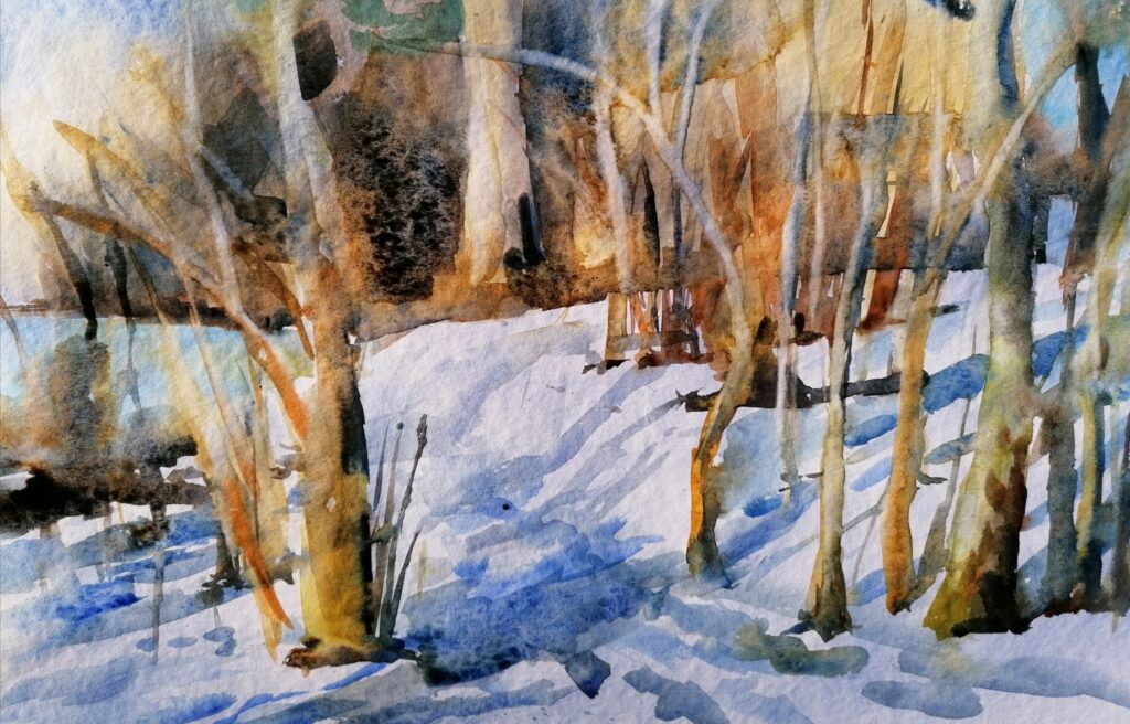 Winterlicht;am Koppenbergweiher in Habach