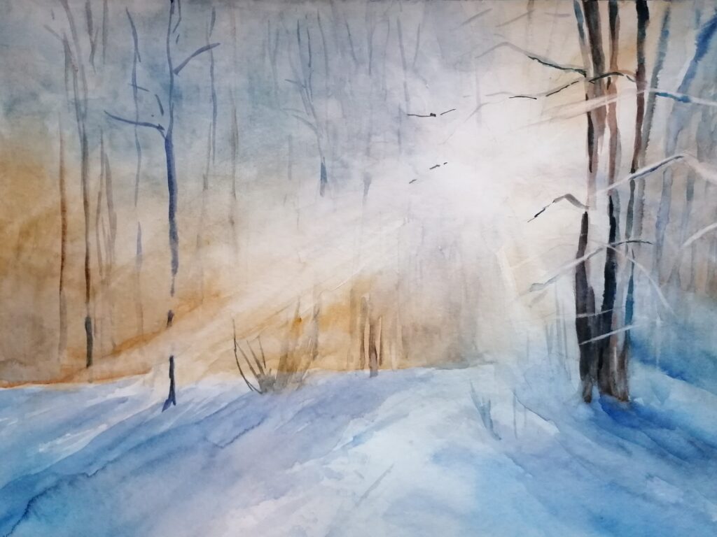Wald im Gegenlicht